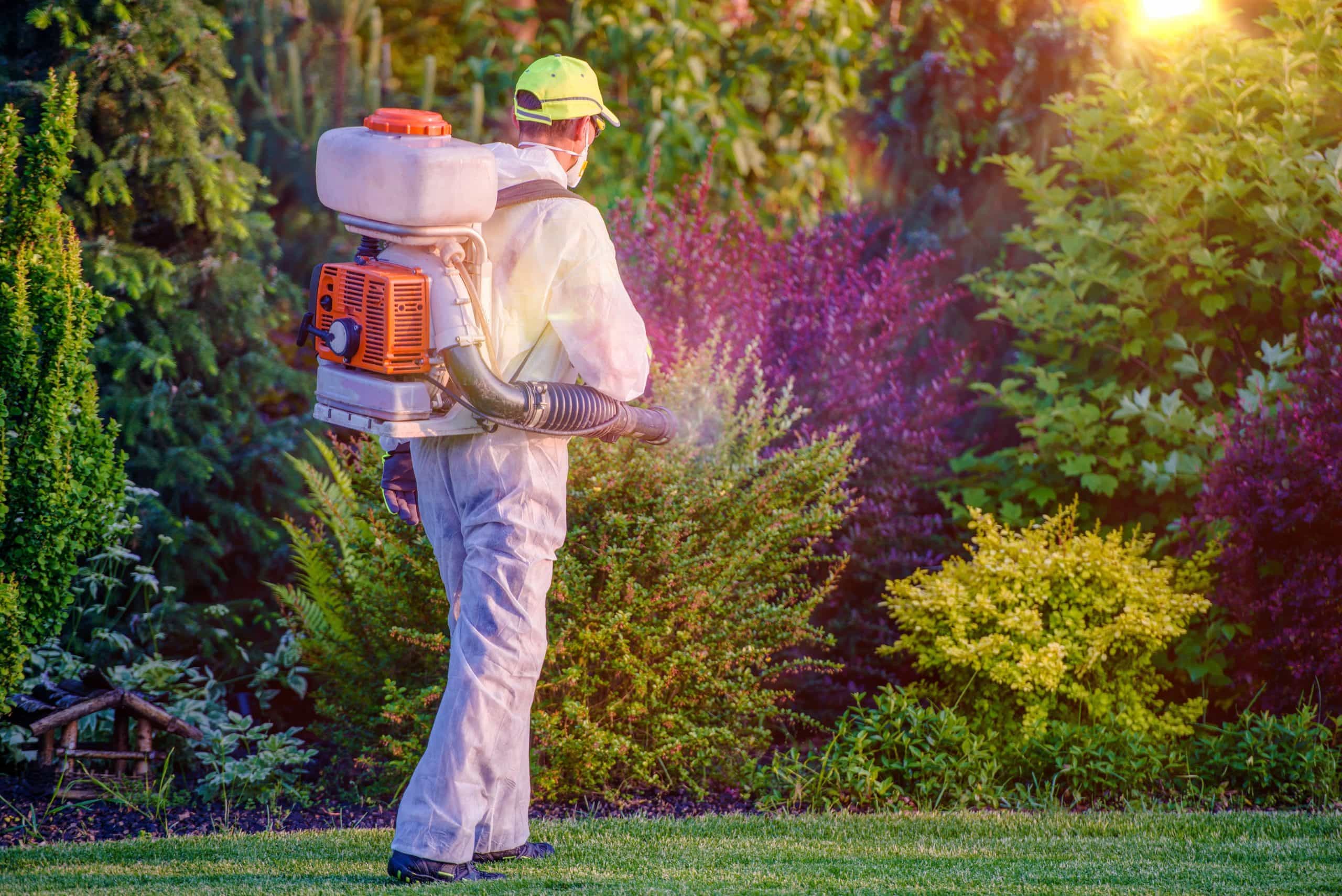 A Pest Exterminator using a fogging machine