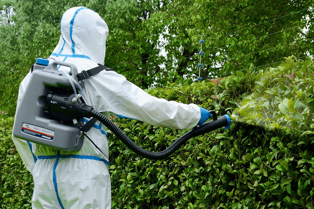 An exterminator exterminating ticks and mosquitos in a bush by spraying it with insecticides.